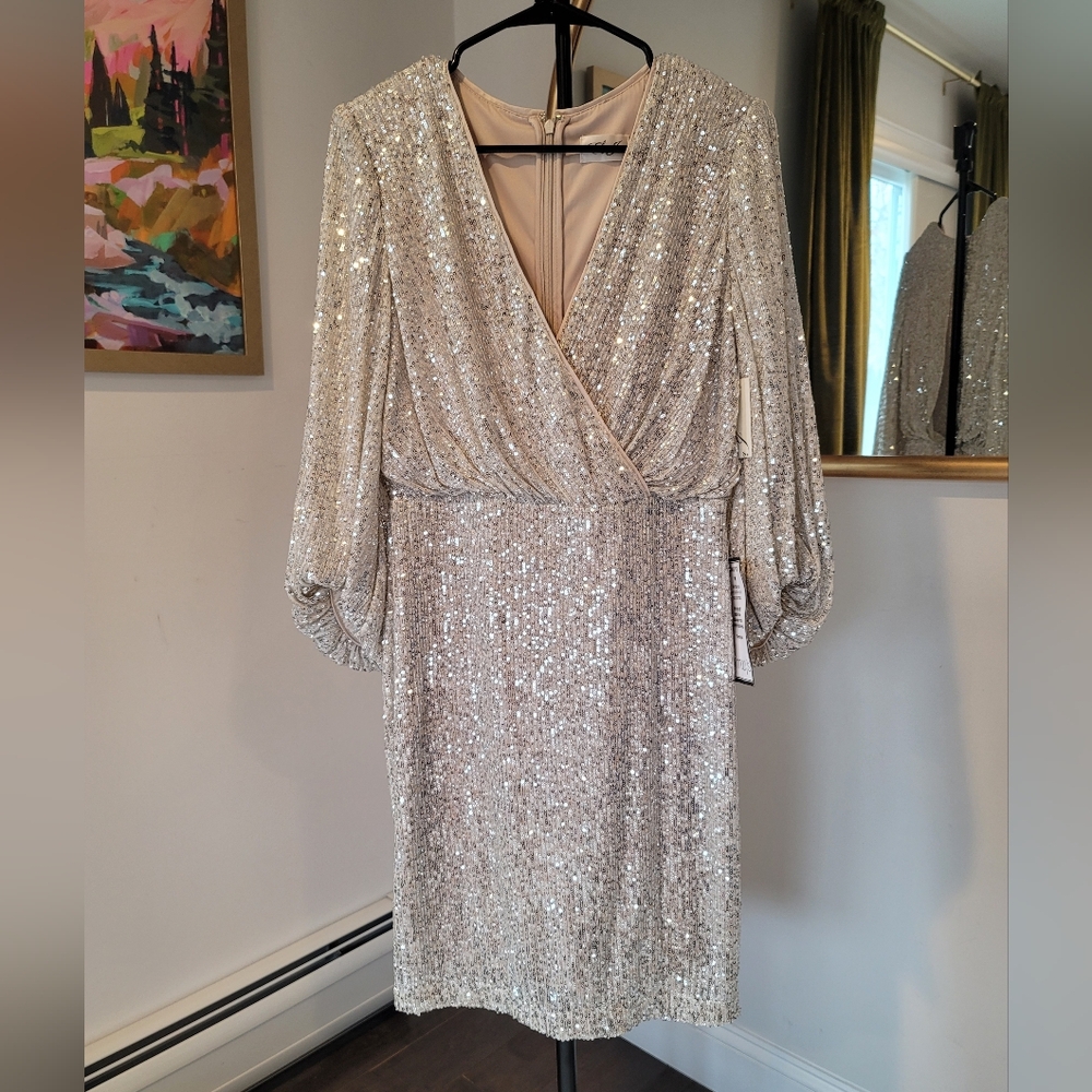 NWT Eliza J Sequin Long Sleeve Cocktail Dress Silver Blouson Size 6 - Picture 2 of 14